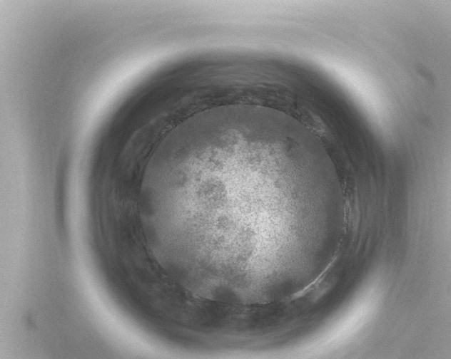 X0000116790191200912241209