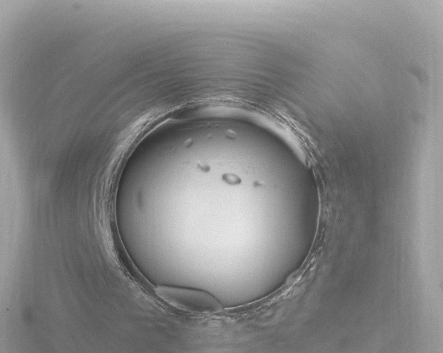 X0000116790193200912241209