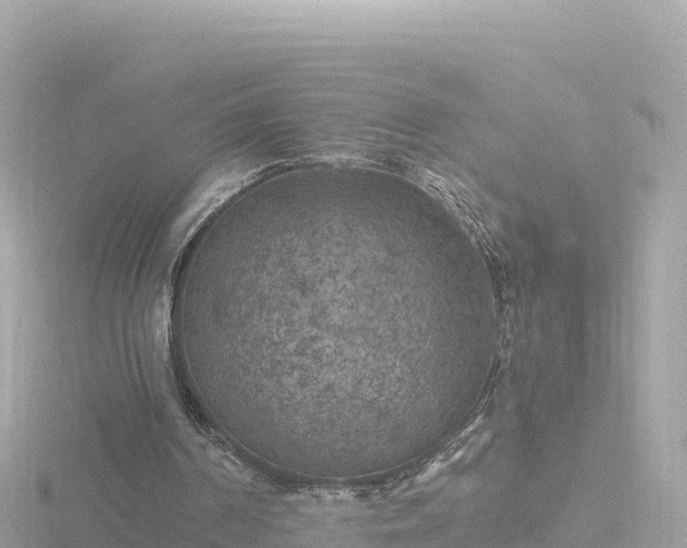 X0000116790194200912241209