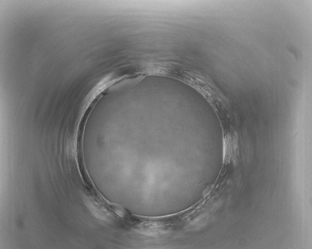 X0000116790195200912241209