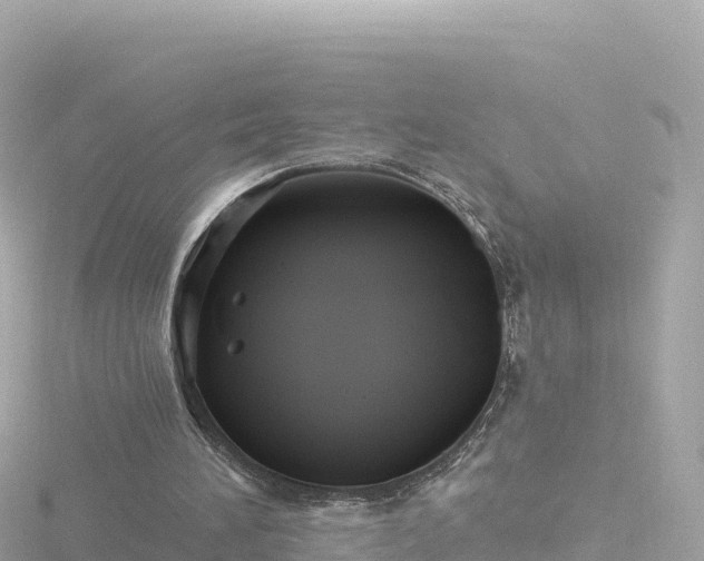 X0000116790196200912241209