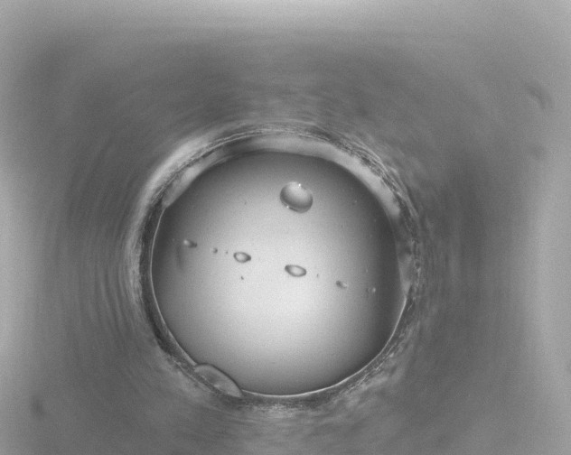 X0000116790197200912241209