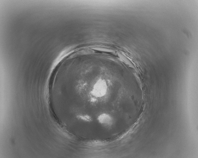 X0000116790198200912241209