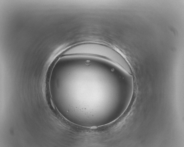 X0000116790199200912241209