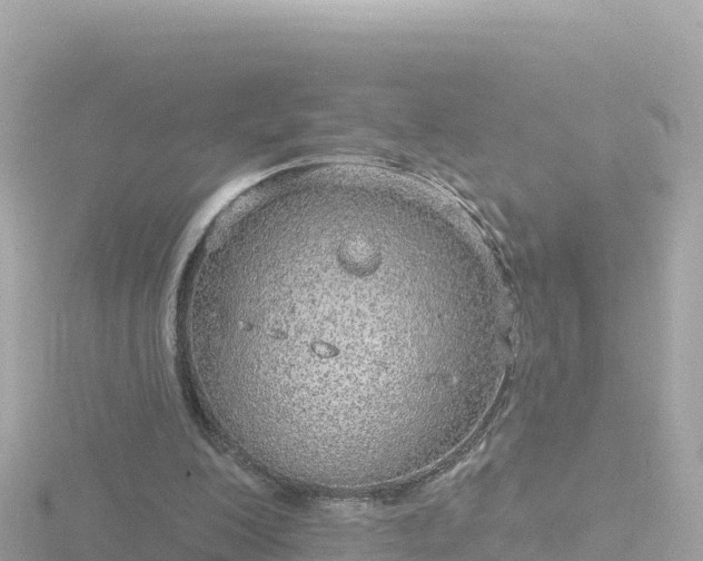 X0000116790200200912241209