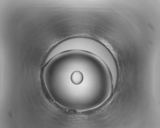 X0000116790201200912241209