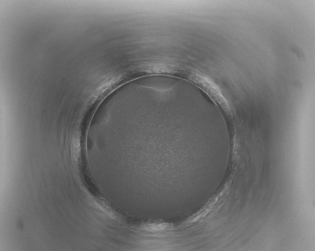 X0000116790202200912241209