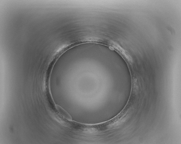 X0000116790203200912241209