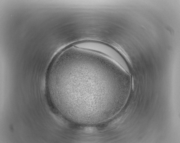 X0000116790204200912241208