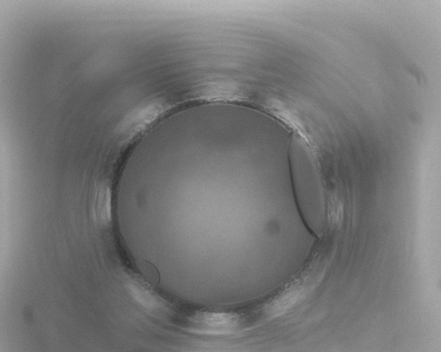 X0000116790205200912241208