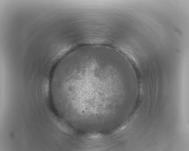 X0000116790206200912241208