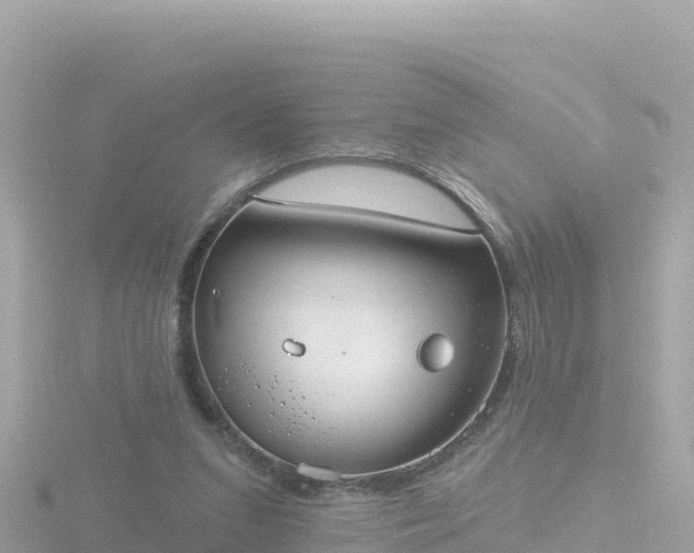 X0000116790207200912241208