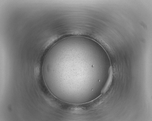 X0000116790208200912241208