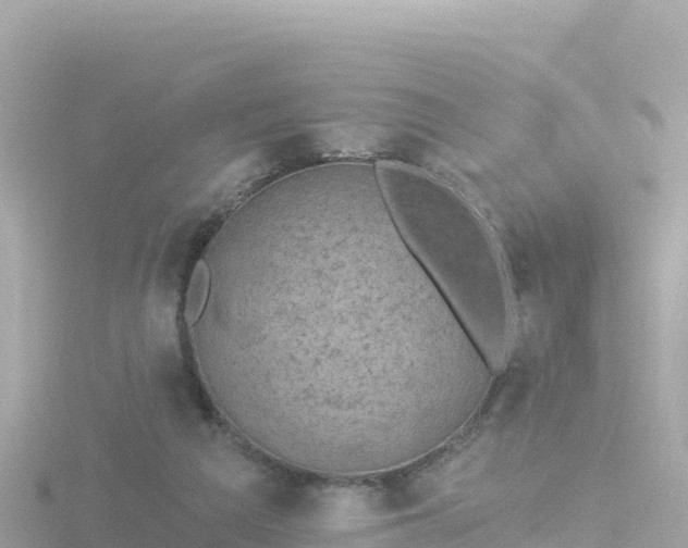 X0000116790209200912241208