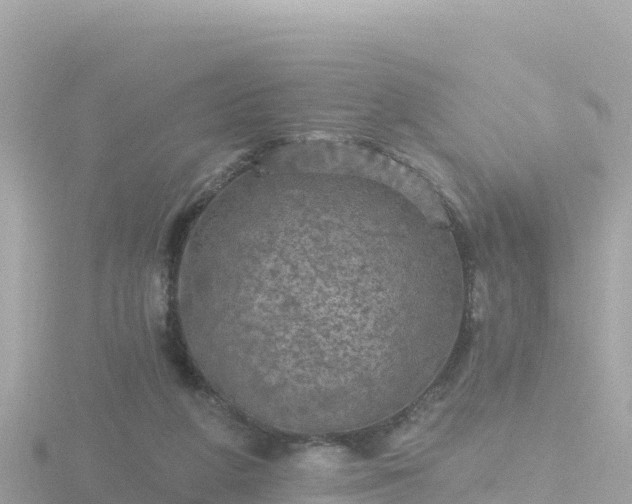 X0000116790210200912241208