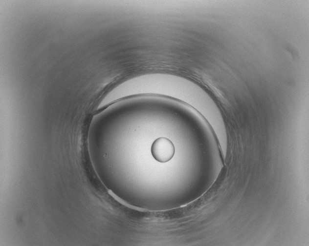 X0000116790211200912241208