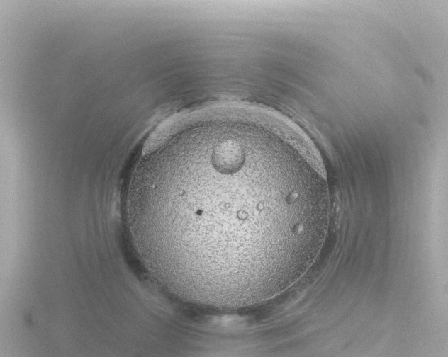 X0000116790212200912241208