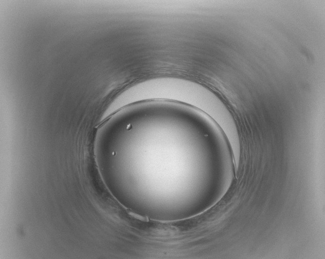 X0000116790215200912241208