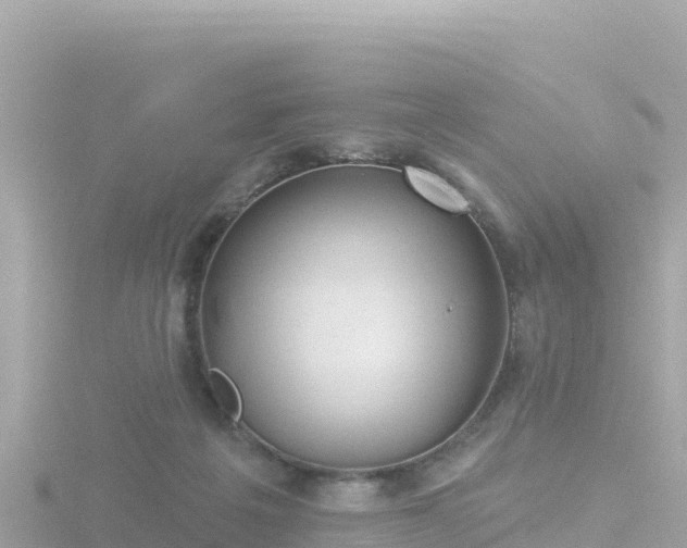 X0000116790217200912241208