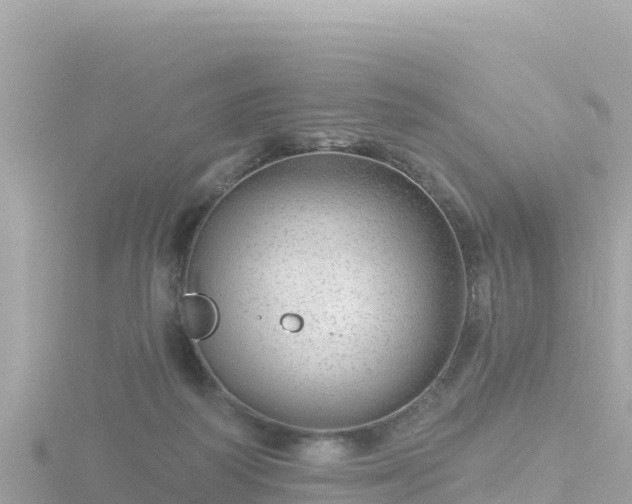 X0000116790218200912241208