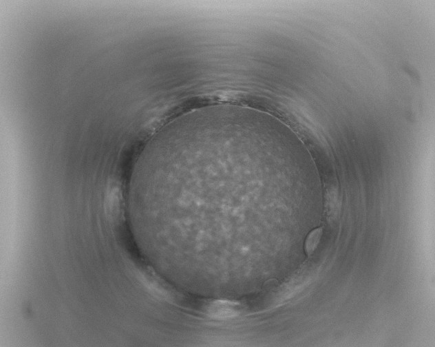 X0000116790222200912241208