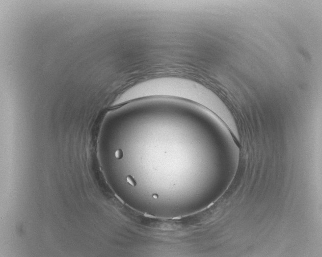 X0000116790223200912241208