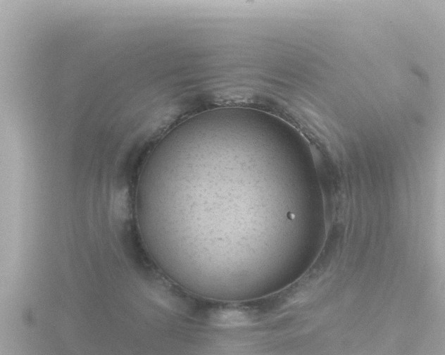 X0000116790224200912241208