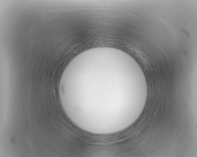 X0000116790225200912241208