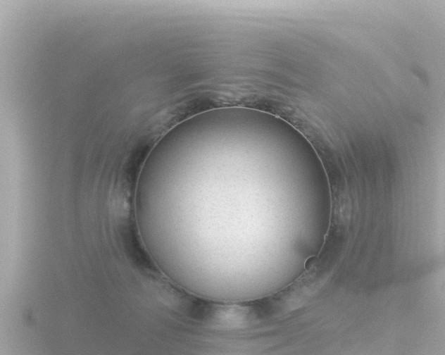 X0000116790226200912241208