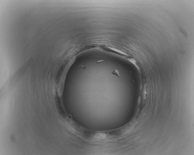 X0000116790227200912241208