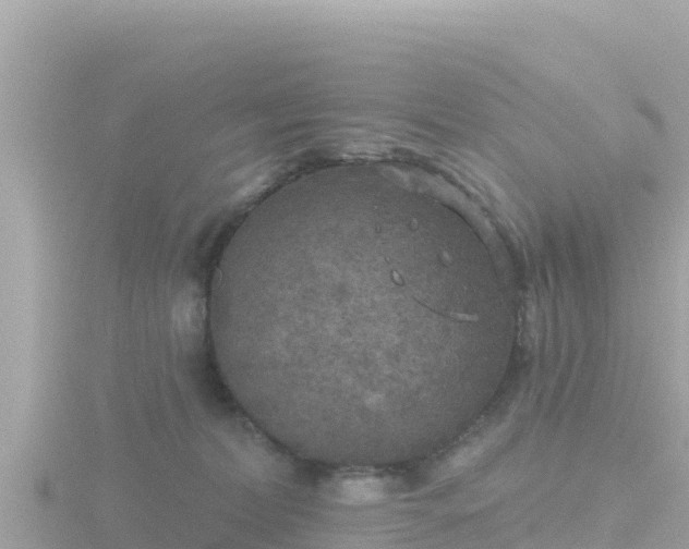 X0000116790228200912241208