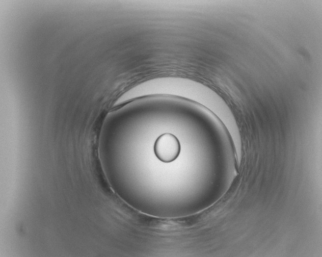 X0000116790229200912241208