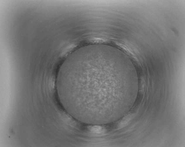 X0000116790230200912241208