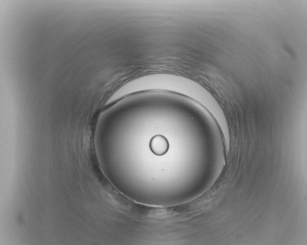 X0000116790231200912241208