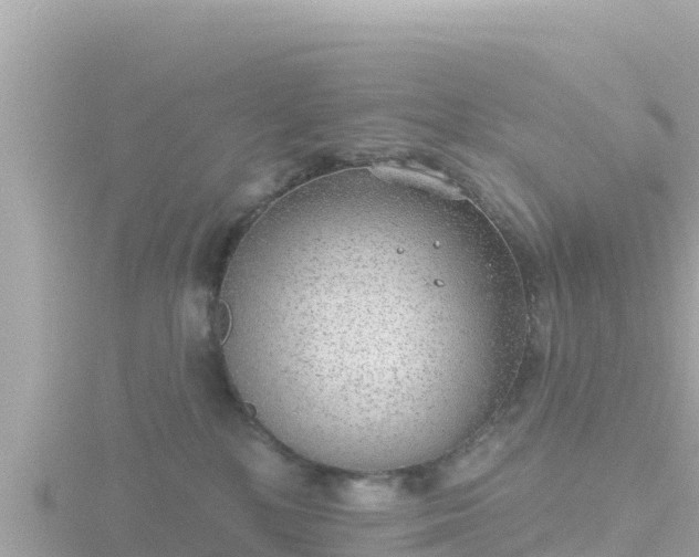 X0000116790232200912241208