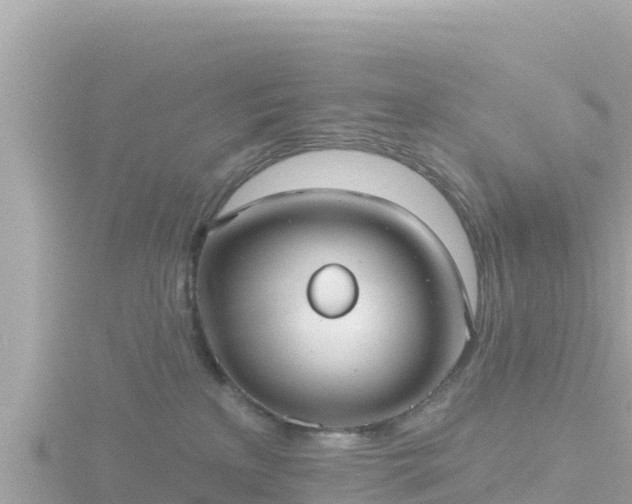 X0000116790233200912241208