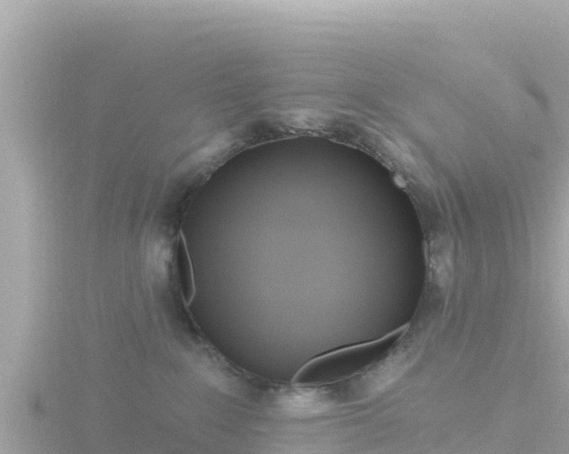 X0000116790235200912241208