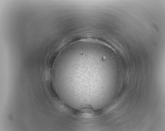 X0000116790236200912241208