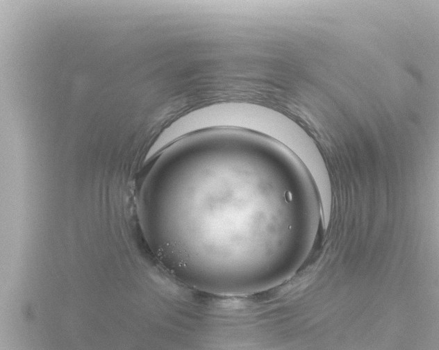 X0000116790237200912241208