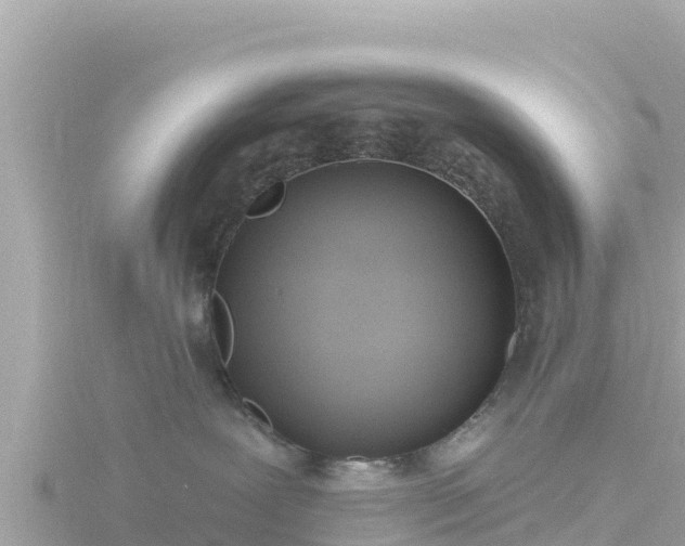 X0000116790239200912241208