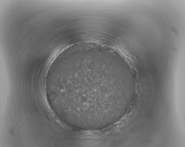 X0000116790241200912241207