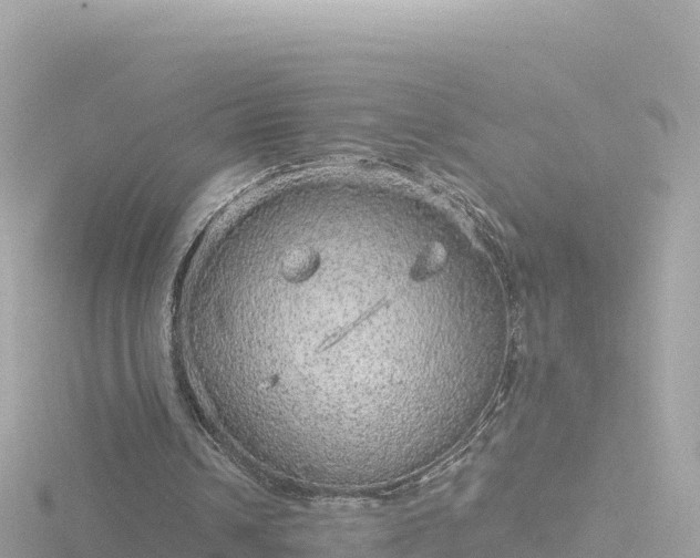 X0000116790242200912241207