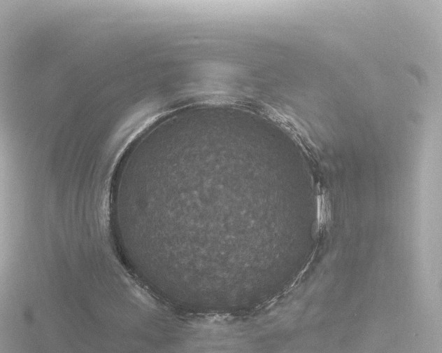 X0000116790243200912241207