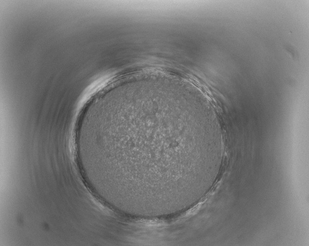 X0000116790245200912241207