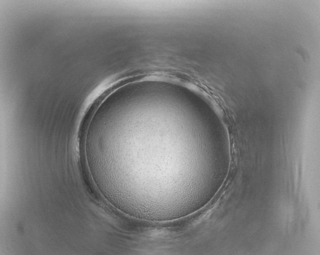 X0000116790246200912241207