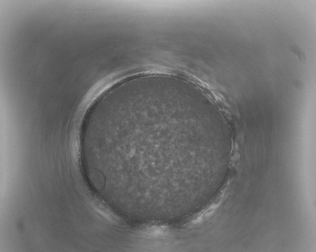 X0000116790247200912241207