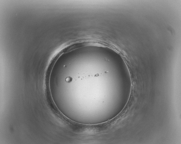 X0000116790248200912241207