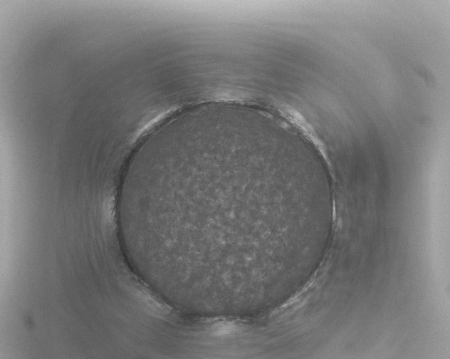 X0000116790249200912241207