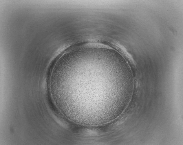 X0000116790250200912241207