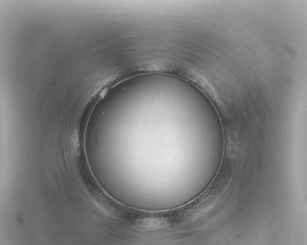 X0000116790251200912241207